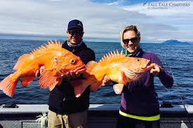 Alaska Fish-N-Fun Charters